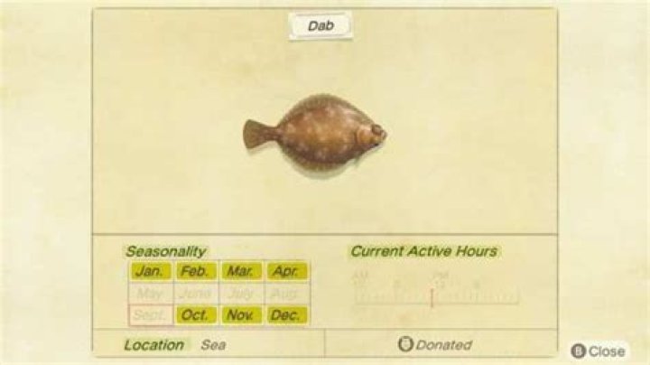 Animal Crossing New Horizons Dab: How to Catch, Location, Sell Price