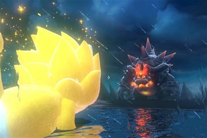 Bowser’s Fury: How Many Cat Shines There Are