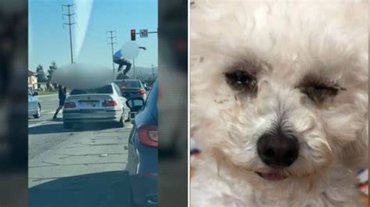 California road rage incident Man smashes car window in San Jose