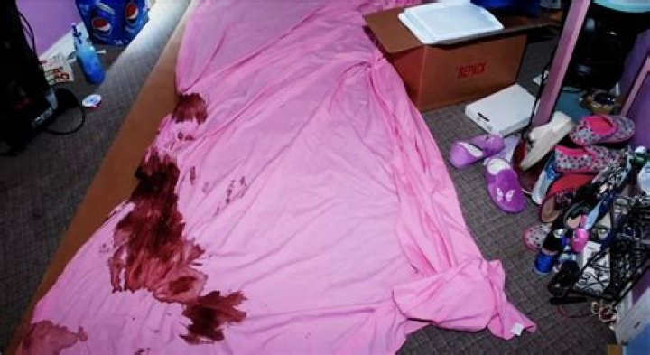 Exploring The Intriguing World Of Gupsy Rose Crime Scene Photos