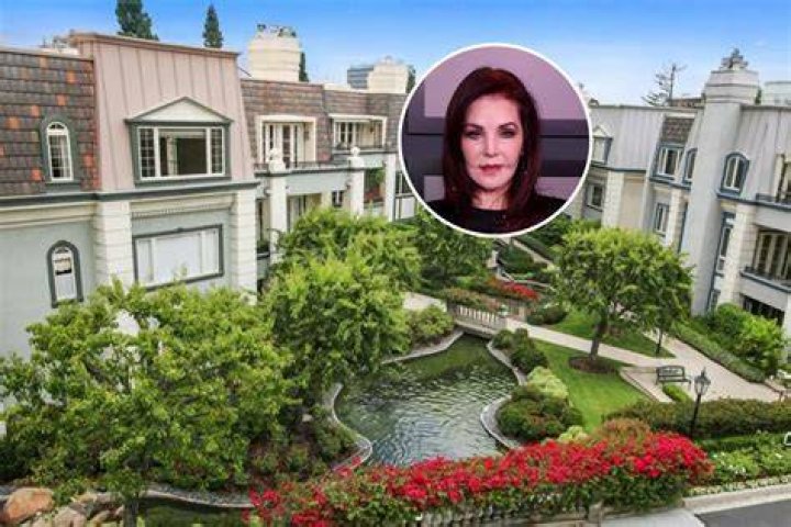 Inside Priscilla Presley's botched plastic surgery battle after Elvis