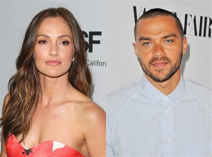 Jesse Williams and Minka Kelly Split