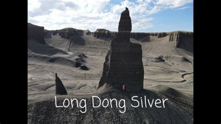 Long Dong Silver Films, Biographie et Listes sur MUBI