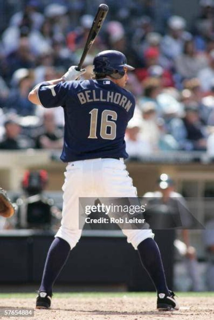Mark Bellhorn Cubs team, Chicago cubs history, Chicago cubs