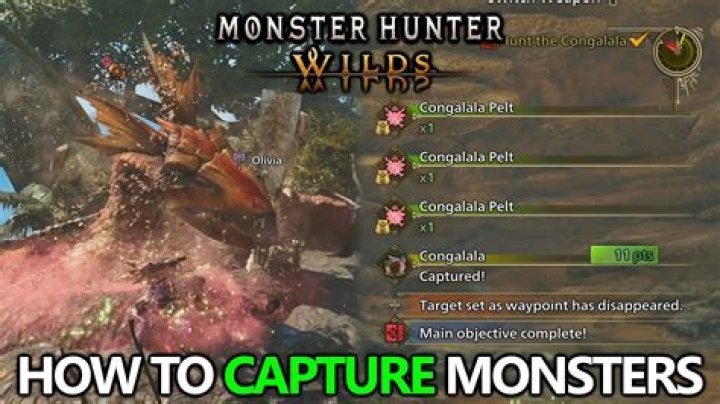 Monster Hunter Generations Ultimate: How to Capture Monsters