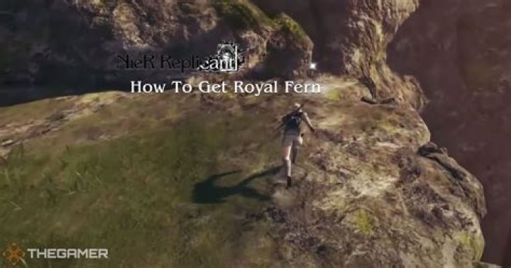 Nier Replicant: How to Get Royal Fern