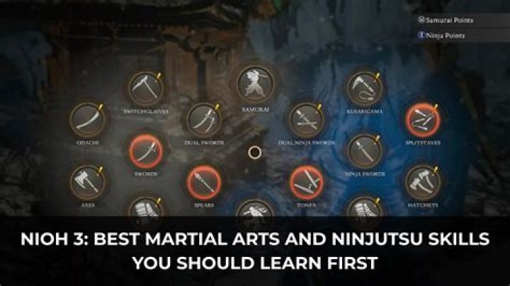 Nioh: Which Skills You Should Get First