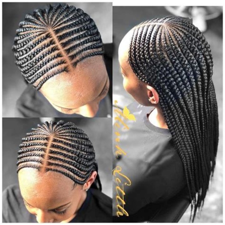 Pin on Feed in braids