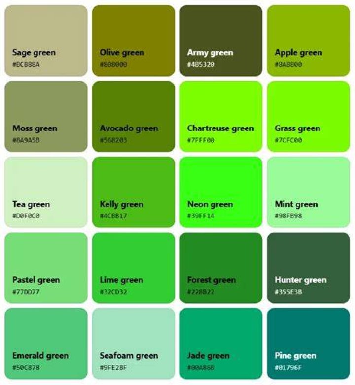 Poze Molinee Green Actor Poza 3 din 3 CineMagia.ro