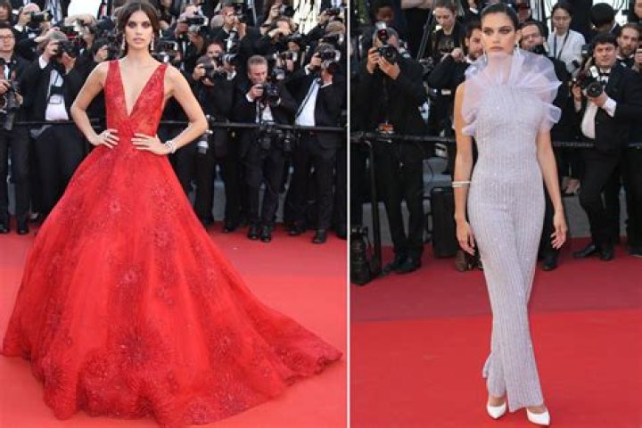 The Most Naked Dresses on The Cannes Red Carpet Fashionisers