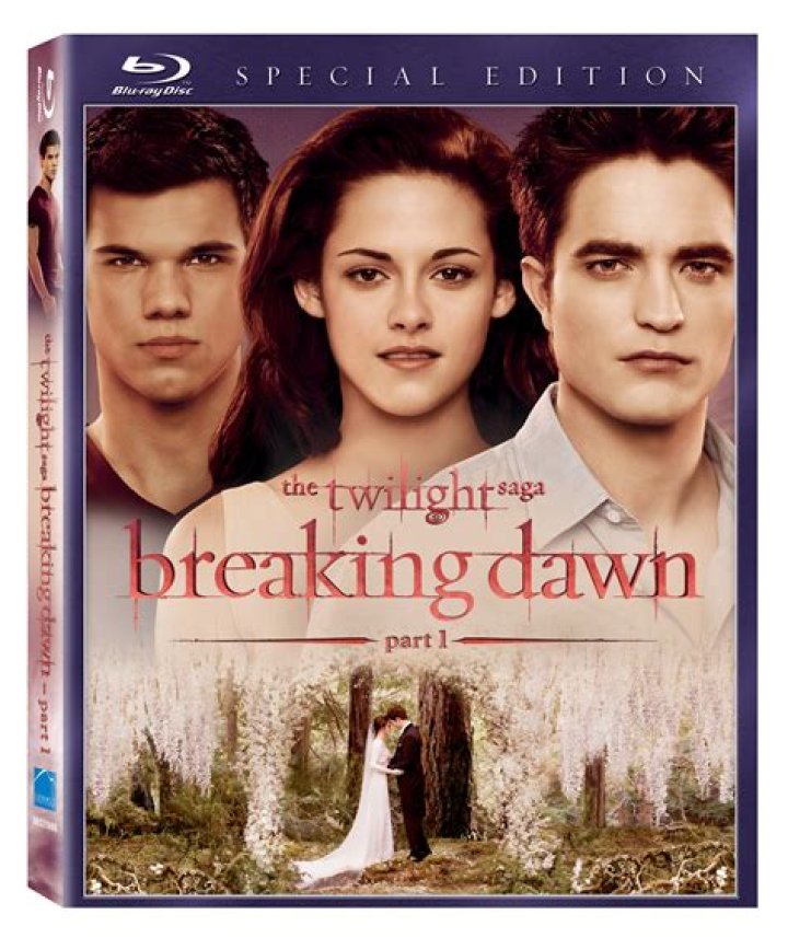 Twilight Breaking Dawn Part 1 Wedding Dress Images & Facts HeyUGuys
