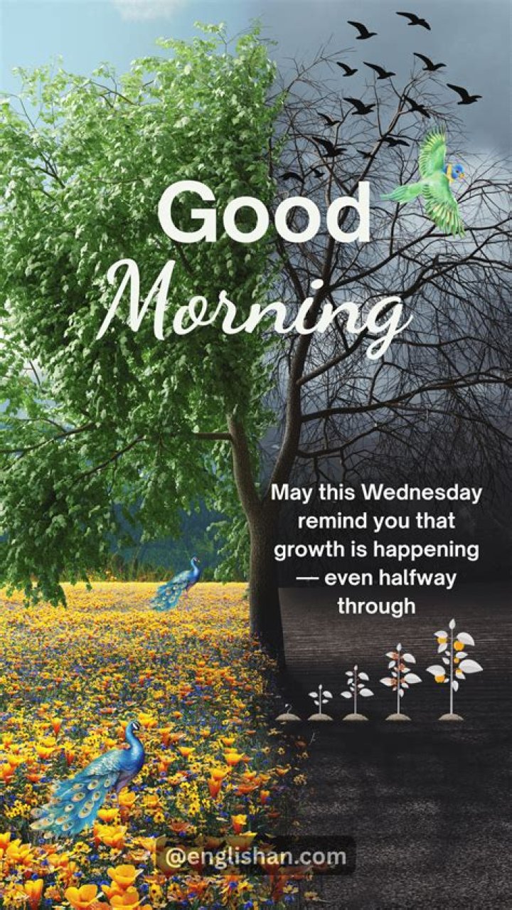 Wednesday Good Morning Wishes / Good Morning Wednesday Quotes & Images